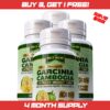 Garcinia Cambogia Lose Weight